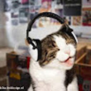 Meet your Posher, Albert